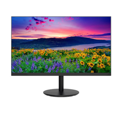 Màn hình Dahua DHI-LM24-A200Y (23.8 inch/FHD/VA/100hz)
