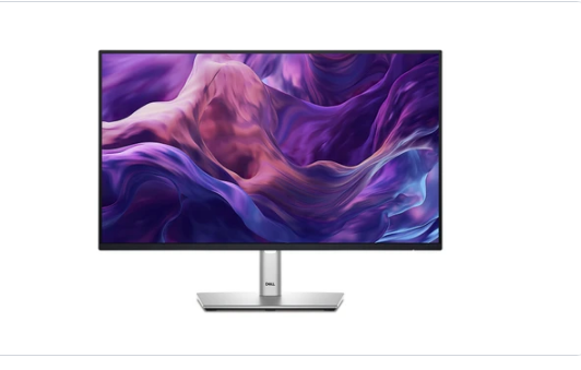 Màn hình Dell P2425H_24inch (FHD/IPS/100HZ/5MS)